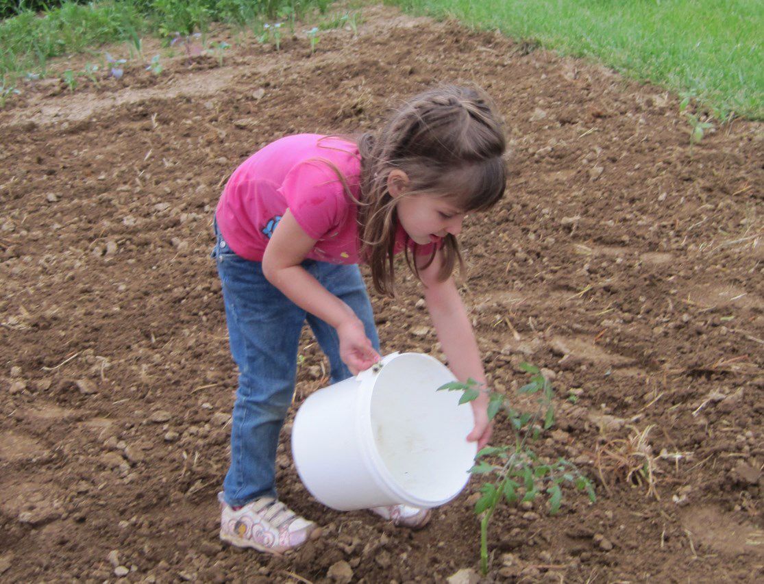 Master Gardener Program offered in Fredericktown Daily Journal Online