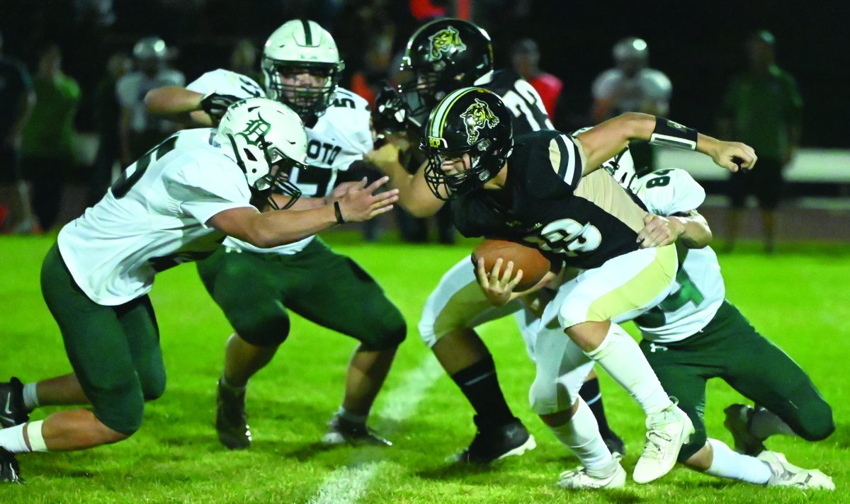 Cats fall to Dragons, 4520 Daily Journal Online